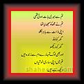 Wapsee 01 * 22.03.2008 * 299 x 620 * (20KB)